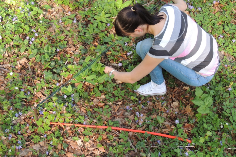 Rezultati magistrske naloge Tamare Karlo objavljeni v reviji Landscape and Urban Planning (A”) – Obnova ekosistema po poplavi odvisna od izvorne biodiverzitete